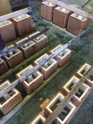 image1_3.jpeg